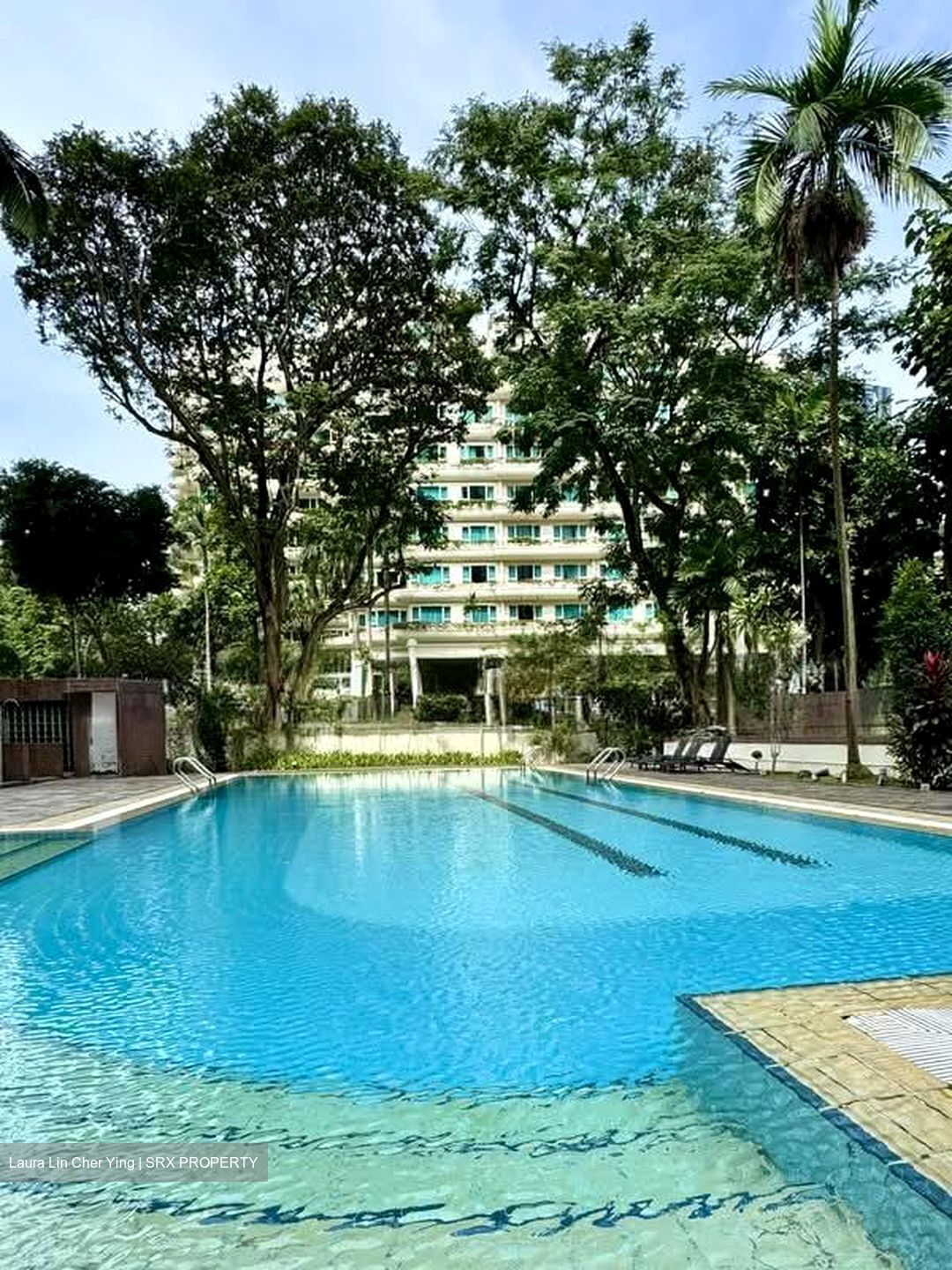 Orange Grove Road (D10), Condominium #590525141